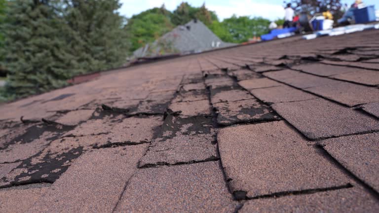 Best Commercial Roofing Services  in Kidron, OH